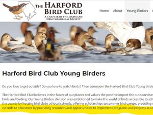 bird club